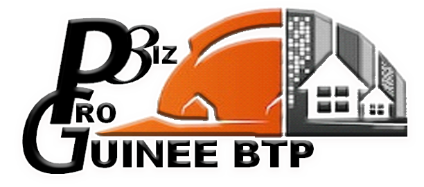 Probiz Guinée BTP